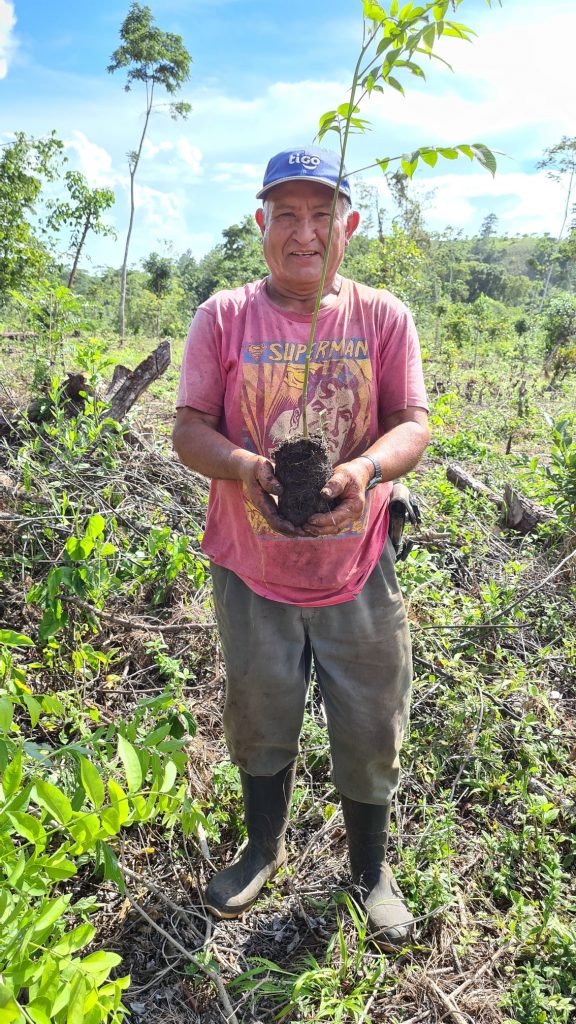 easy travel hosting ecologico piantumazione alberi guatemala