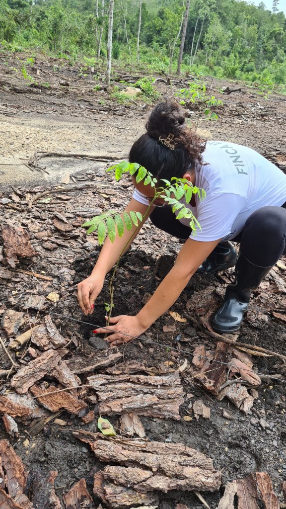 easy travel hosting ecologico piantumazione alberi guatemala