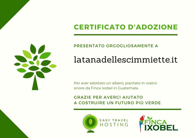 easy travel hosting ecologico piantumazione alberi guatemala
