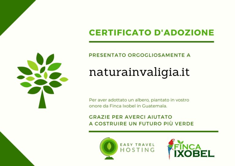 easy travel hosting ecologico piantumazione alberi guatemala