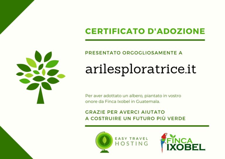 easy travel hosting ecologico piantumazione alberi guatemala