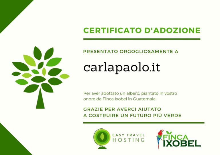 riforestazione guatemala