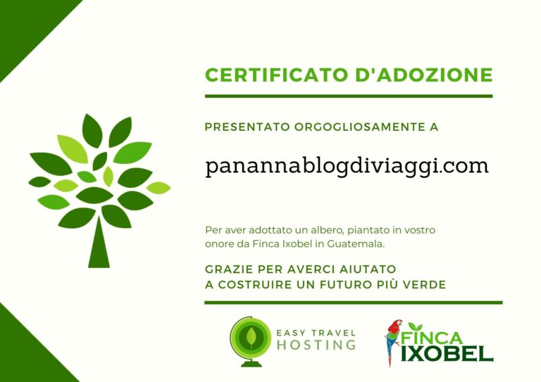 riforestazione guatemala