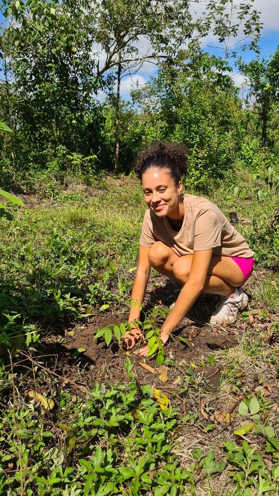 easy-travel-hosting-riforestazione-guatemala-3