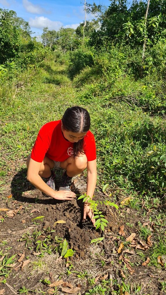 easy-travel-hosting-riforestazione-guatemala-2