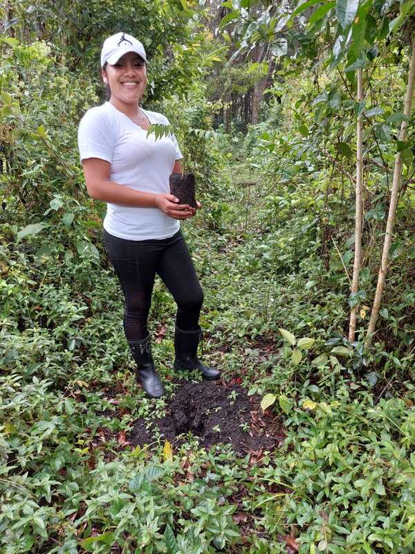 easy-travel-hosting-riforestazione-guatemala-1