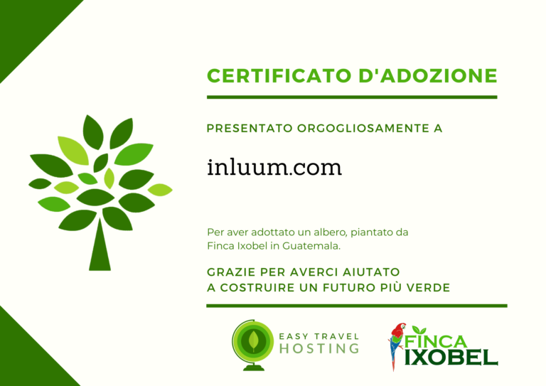 easy travel hosting ecologico piantumazione alberi guatemala