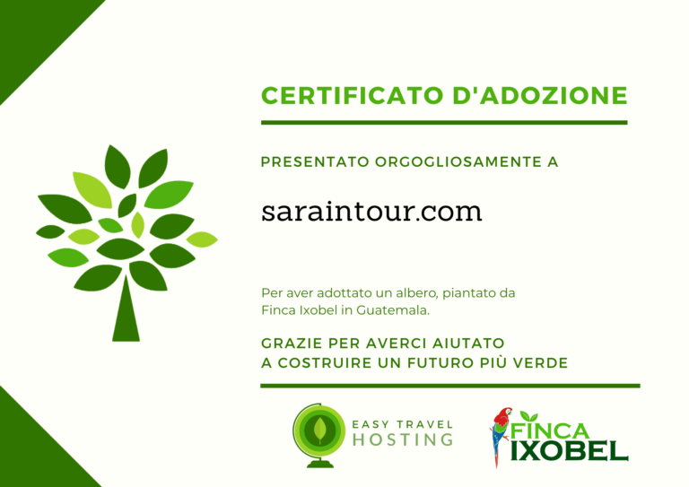easy travel hosting ecologico piantumazione alberi guatemala
