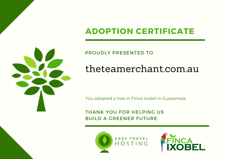 easy travel hosting ecologico piantumazione alberi guatemala