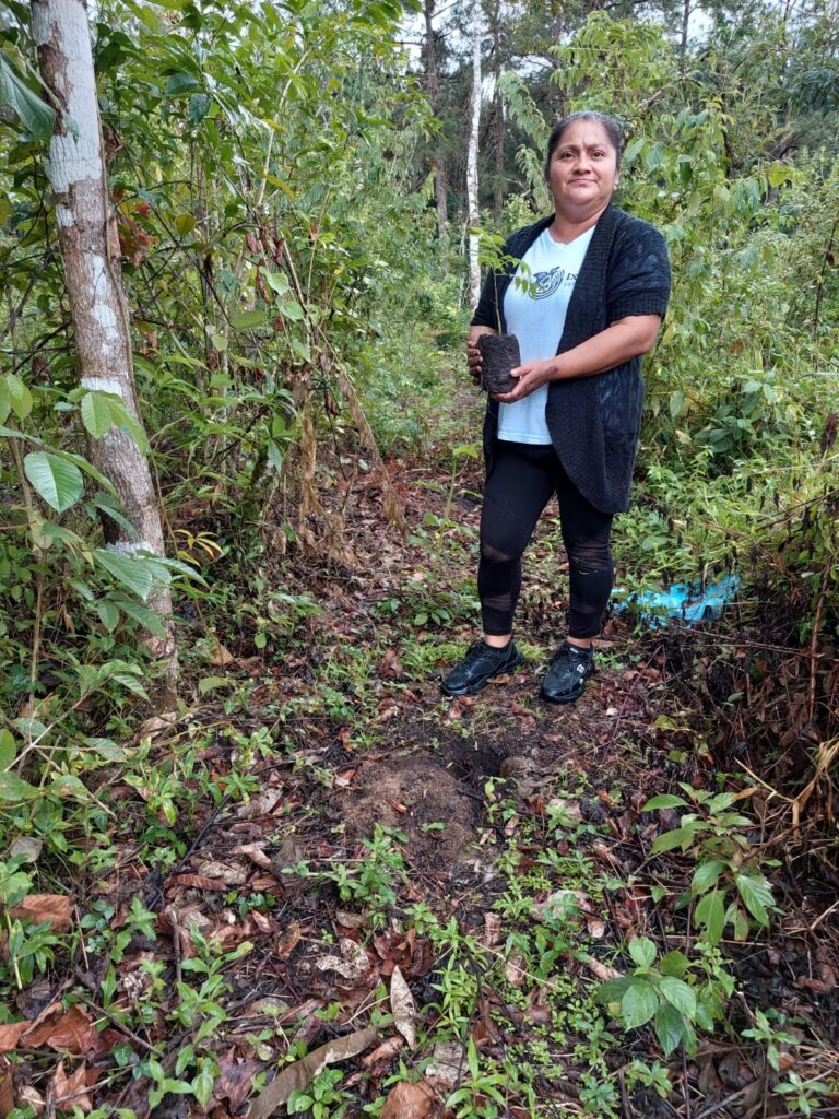 web-hosting-ecologico-progetto-riforestazione-guatemala-2