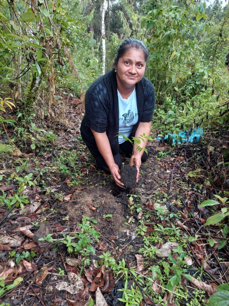 web-hosting-ecologico-progetto-riforestazione-guatemala-3