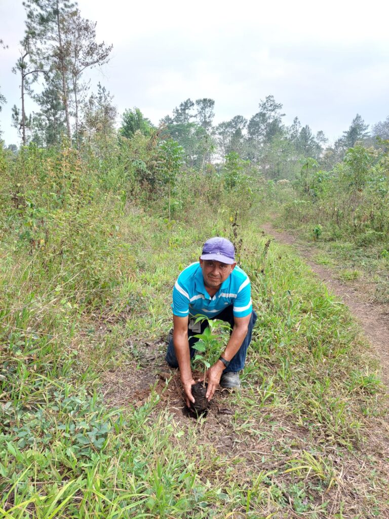 web-hosting-ecologico-progetto-riforestazione-guatemala-44