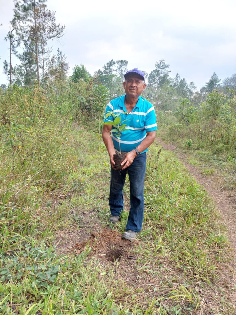 web-hosting-ecologico-progetto-riforestazione-guatemala-45