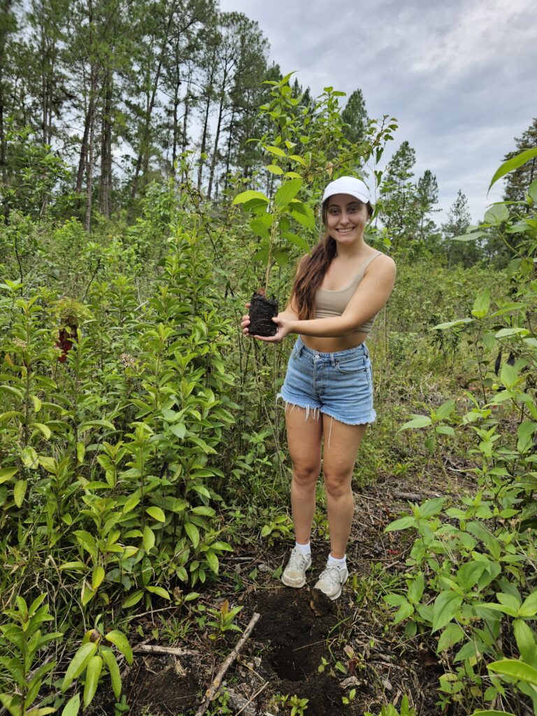 riforestazione-guatemala-2