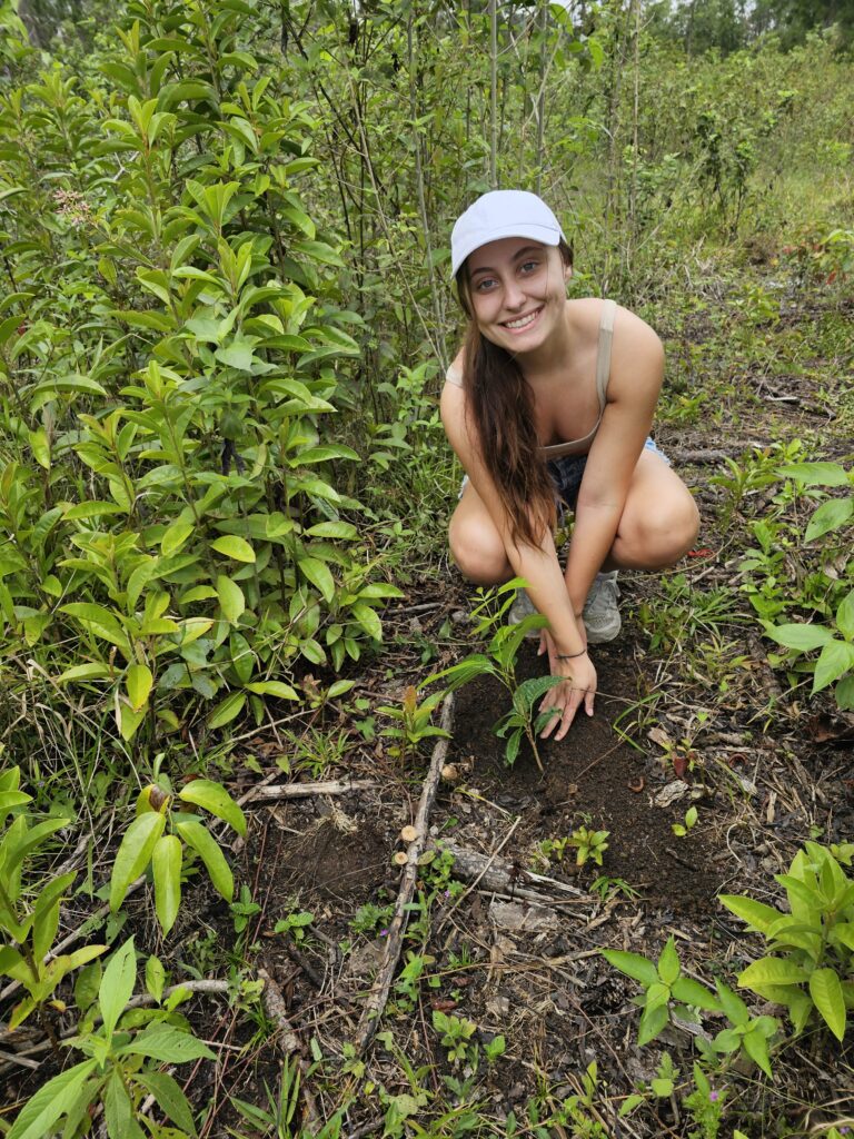 riforestazione-guatemala-3