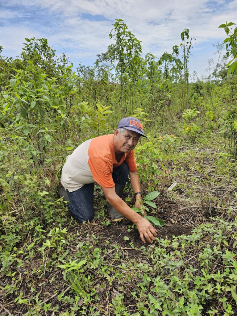riforestazione-guatemala-5