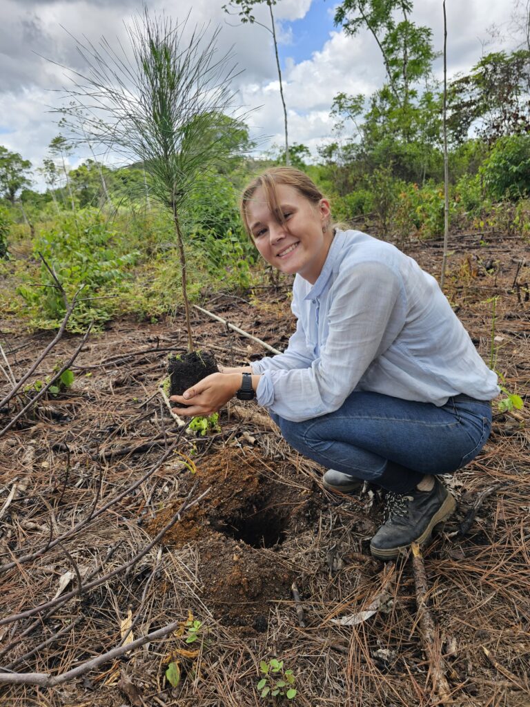 riforestazione-guatemala-easy-travel-hosting-1