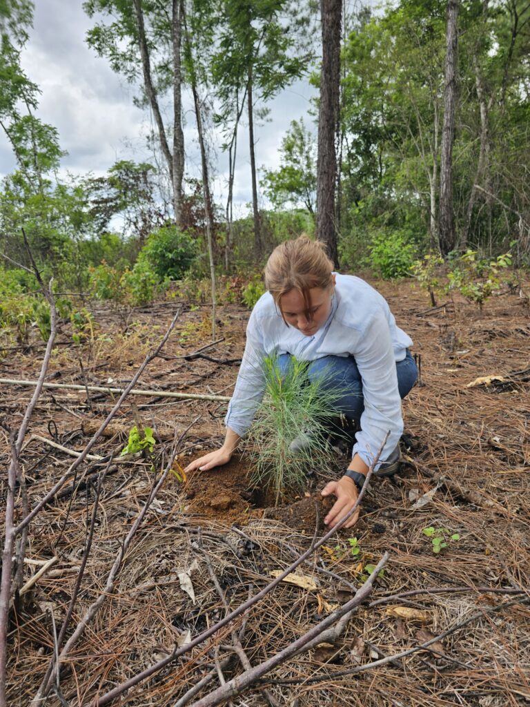 riforestazione-guatemala-easy-travel-hosting-2