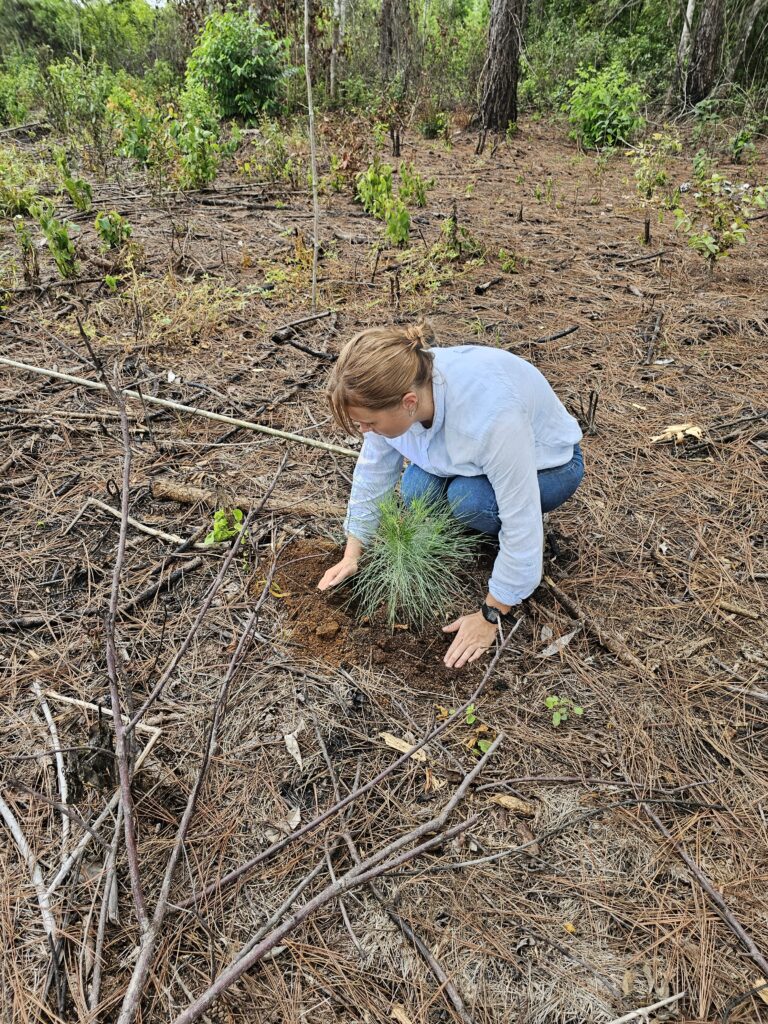 riforestazione-guatemala-easy-travel-hosting-3