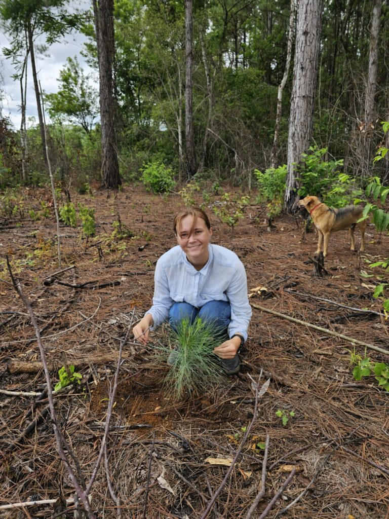 riforestazione-guatemala-easy-travel-hosting-4